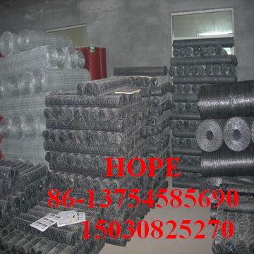 Anping Hexagonal Wire Mesh 